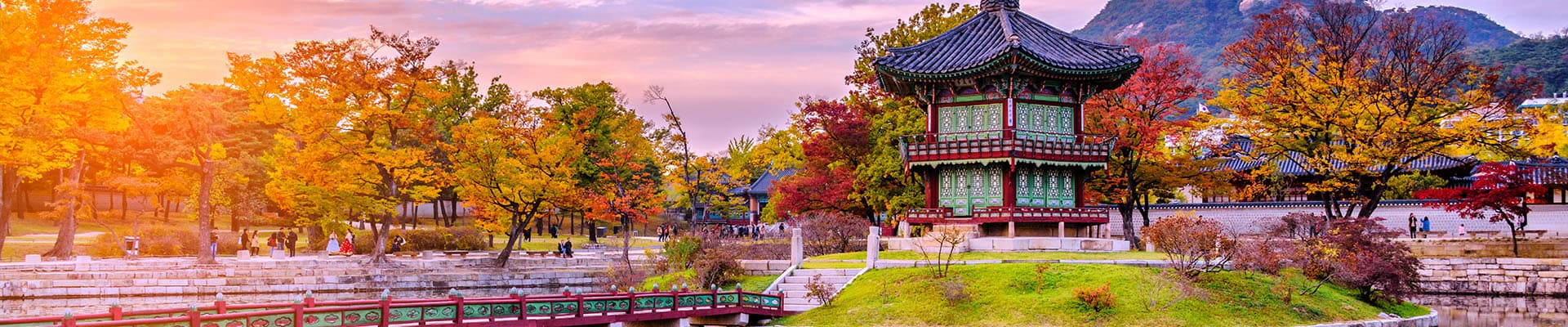 Circuitos Corea del Sur
